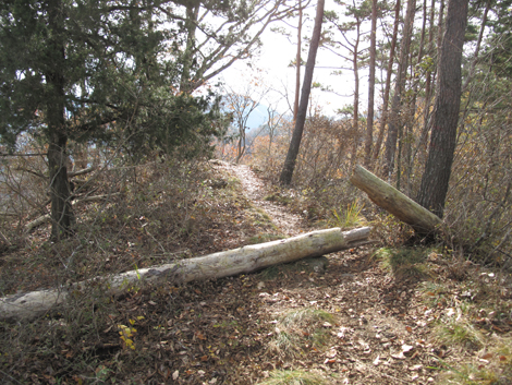 20181126hike (128)